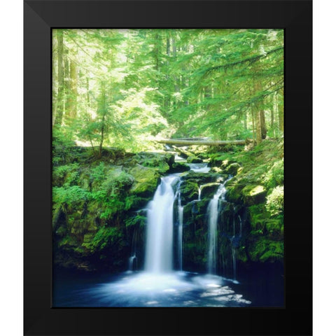 USA, Oregon, Whitehorse Waterfall in Oregon Black Modern Wood Framed Art Print by Talbot Frank, Christopher