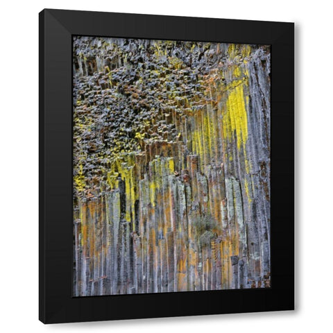 OR, Columnar basalt covered with lichen Black Modern Wood Framed Art Print with Double Matting by Terrill, Steve