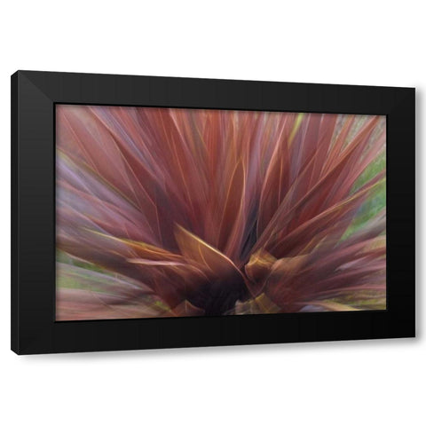 USA, Oregon, Portland Abstract of red flax plant Black Modern Wood Framed Art Print by Terrill, Steve