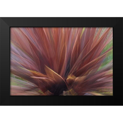 USA, Oregon, Portland Abstract of red flax plant Black Modern Wood Framed Art Print by Terrill, Steve