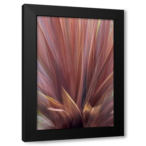 USA, Oregon, Portland Abstract of red flax plant Black Modern Wood Framed Art Print with Double Matting by Terrill, Steve