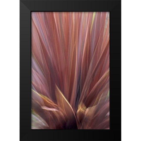 USA, Oregon, Portland Abstract of red flax plant Black Modern Wood Framed Art Print by Terrill, Steve