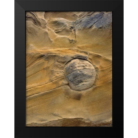 OR, Shore Acres SP Round rock in sandstone Black Modern Wood Framed Art Print by Terrill, Steve