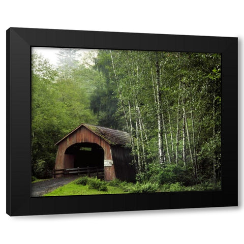 OR, Yachats River, Covered bridge over North Fork Black Modern Wood Framed Art Print by Terrill, Steve