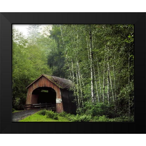 OR, Yachats River, Covered bridge over North Fork Black Modern Wood Framed Art Print by Terrill, Steve