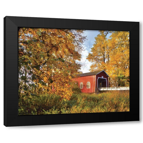 OR, Shimanek covered bridge in morning light Black Modern Wood Framed Art Print by Terrill, Steve