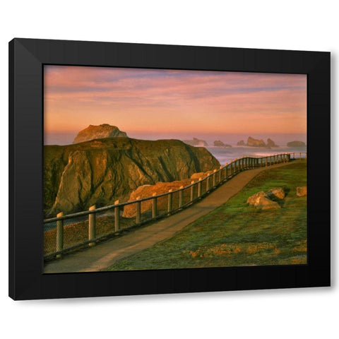 OR, Bandon Rocks viewed from trail to beach Black Modern Wood Framed Art Print by Terrill, Steve