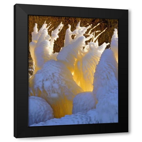 OR, Columbia Gorge Ice formations glowing Black Modern Wood Framed Art Print with Double Matting by Terrill, Steve