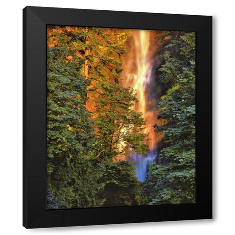 OR, Columbia Gorge Sunset on Multnomah Falls Black Modern Wood Framed Art Print with Double Matting by Terrill, Steve