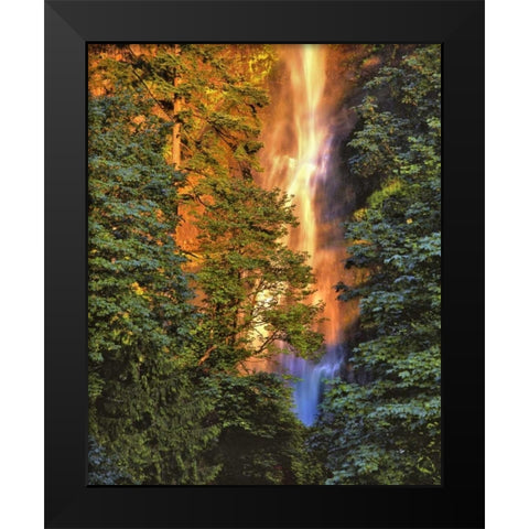 OR, Columbia Gorge Sunset on Multnomah Falls Black Modern Wood Framed Art Print by Terrill, Steve