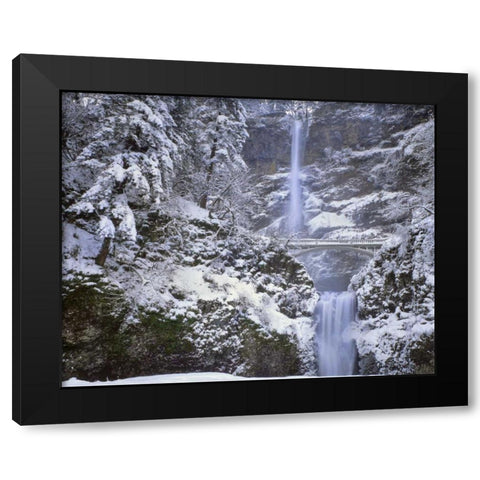OR, Columbia Gorge Winter at Multnomah Falls Black Modern Wood Framed Art Print with Double Matting by Terrill, Steve