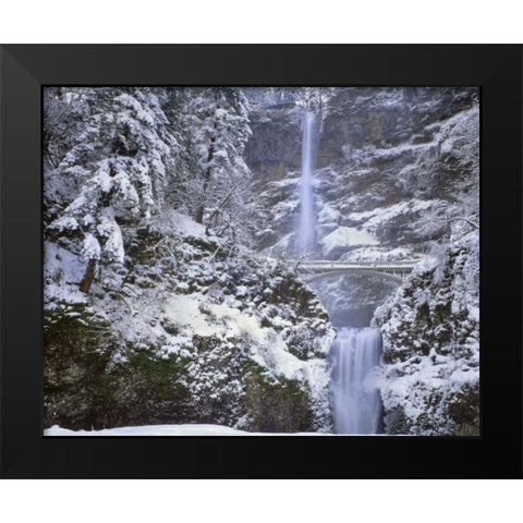 OR, Columbia Gorge Winter at Multnomah Falls Black Modern Wood Framed Art Print by Terrill, Steve
