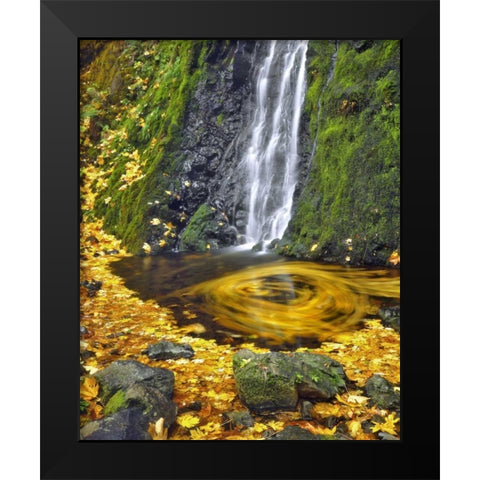 OR, Columbia Gorge Starvation Creek waterfall Black Modern Wood Framed Art Print by Terrill, Steve