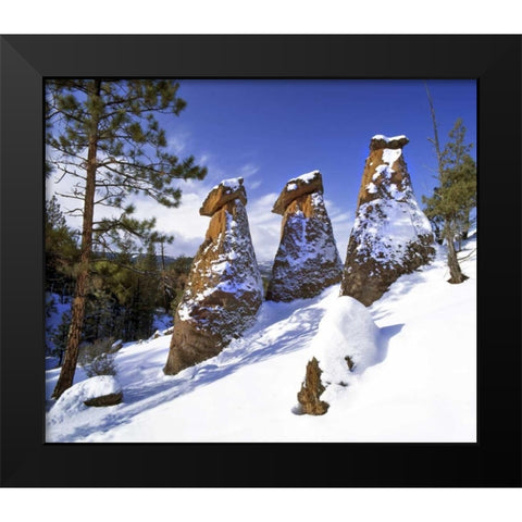 OR, Jefferson Co, The Balancing Rocks in winter Black Modern Wood Framed Art Print by Terrill, Steve