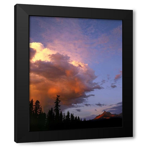 OR, Umpqua NF Storm approaching Mt Thielsen Black Modern Wood Framed Art Print with Double Matting by Terrill, Steve