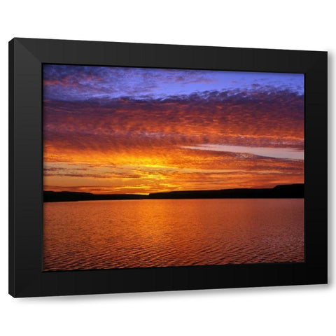 USA, Oregon Sunset over Lake Umatilla Black Modern Wood Framed Art Print by Terrill, Steve