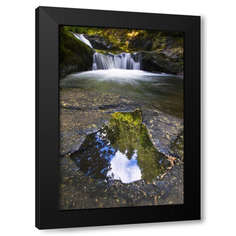 OR, Sweet Creek Trees and clouds in a Puddle Black Modern Wood Framed Art Print with Double Matting by Rotenberg, Nancy