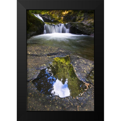 OR, Sweet Creek Trees and clouds in a Puddle Black Modern Wood Framed Art Print by Rotenberg, Nancy