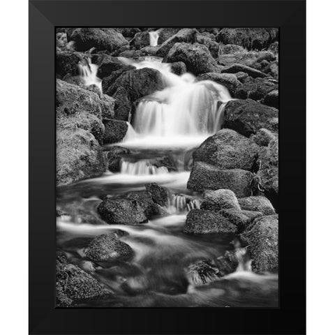 OR, Three Sisters Wilderness Area Proxy Falls Black Modern Wood Framed Art Print by Flaherty, Dennis