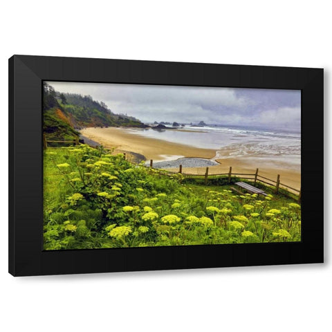 OR, Ecola SP Cow parsnip near Indian Beach Black Modern Wood Framed Art Print by Carter, Jean