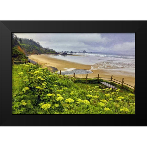 OR, Ecola SP Cow parsnip near Indian Beach Black Modern Wood Framed Art Print by Carter, Jean