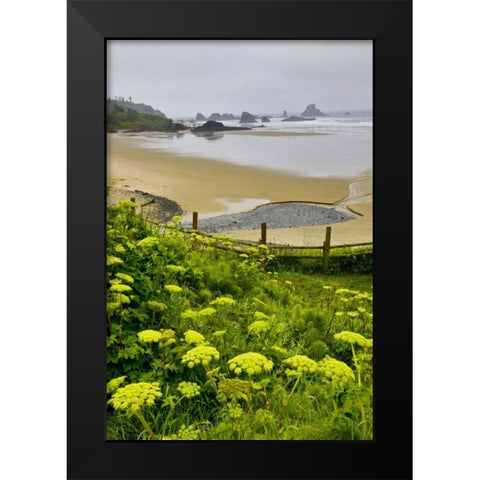 OR, Ecola SP Cow parsnip near Indian Beach Black Modern Wood Framed Art Print by Carter, Jean