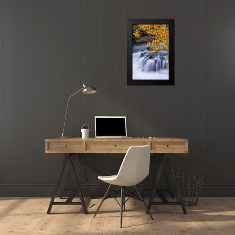 USA, Oregon Rogue River waterfalls in autumn Black Modern Wood Framed Art Print by Carter, Jean