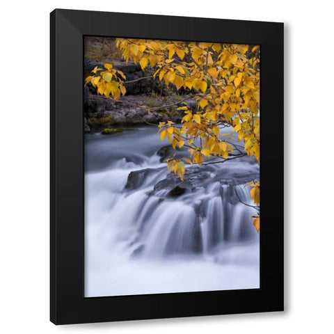 USA, Oregon Rogue River waterfalls in autumn Black Modern Wood Framed Art Print with Double Matting by Carter, Jean