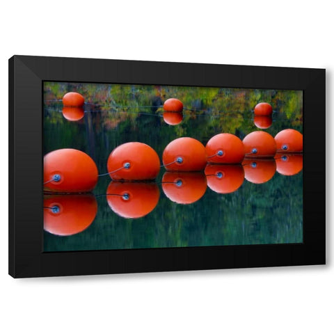 USA, Oregon Orange buoys form dam on Rogue River Black Modern Wood Framed Art Print by Carter, Jean