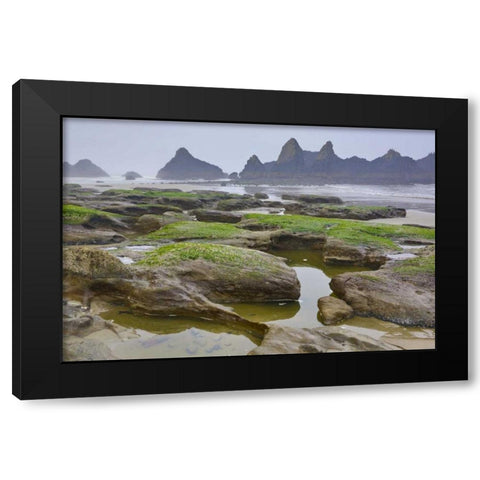 Oregon, Seal Rock SP Rocky beach at low tide Black Modern Wood Framed Art Print with Double Matting by Carter, Jean