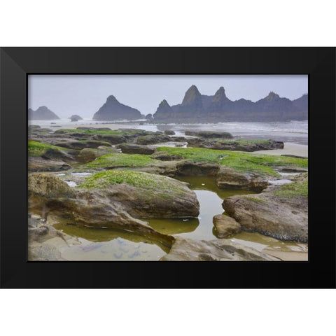 Oregon, Seal Rock SP Rocky beach at low tide Black Modern Wood Framed Art Print by Carter, Jean