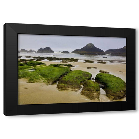 Oregon, Seal Rock SP Rocky beach at low tide Black Modern Wood Framed Art Print by Carter, Jean