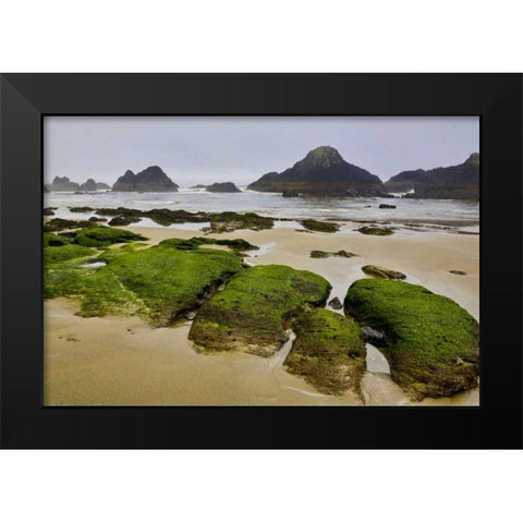 Oregon, Seal Rock SP Rocky beach at low tide Black Modern Wood Framed Art Print by Carter, Jean