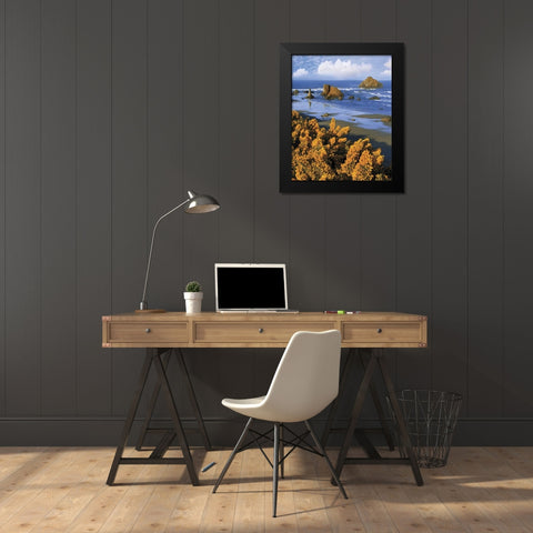 Oregon, Bandon Face Rock and wild gorse plants Black Modern Wood Framed Art Print by Terrill, Steve