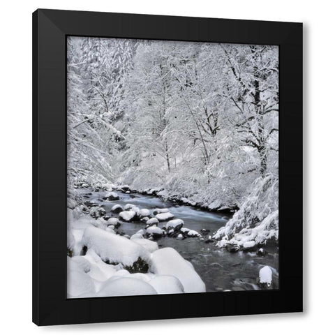 Oregon, Mt Hood NF Snow on Boulder Creek Black Modern Wood Framed Art Print with Double Matting by Terrill, Steve