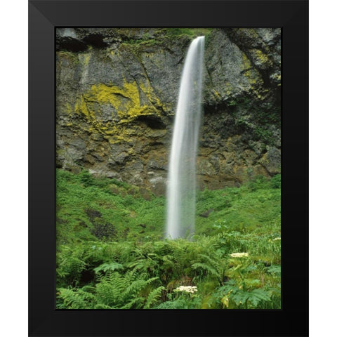 OR, Columbia River Gorge NSA Elowah Falls scenic Black Modern Wood Framed Art Print by Terrill, Steve
