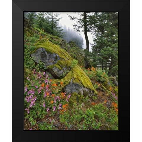 Oregon, Mt Hood NF Trees and flowers Black Modern Wood Framed Art Print by Terrill, Steve