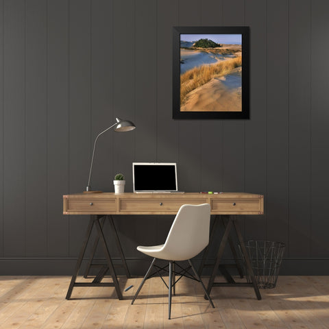 Oregon, Dunes NRA Landscape of sand dunes Black Modern Wood Framed Art Print by Terrill, Steve
