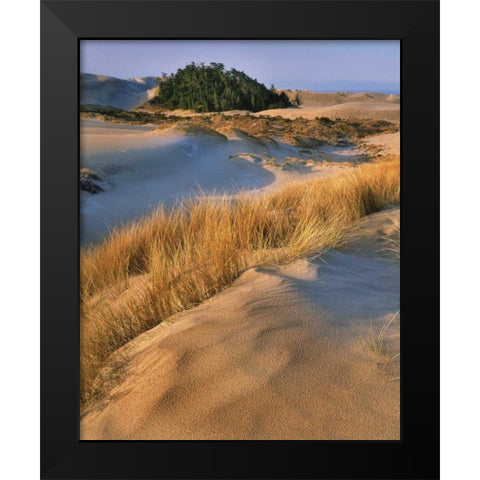 Oregon, Dunes NRA Landscape of sand dunes Black Modern Wood Framed Art Print by Terrill, Steve