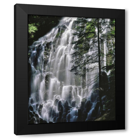 Oregon, Mt Hood Wilderness Ramona Falls Black Modern Wood Framed Art Print with Double Matting by Terrill, Steve