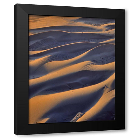 Oregon, Cape Sebastian Close-up of sand dunes Black Modern Wood Framed Art Print with Double Matting by Terrill, Steve