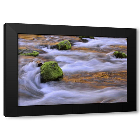 Oregon, Willamette NF McKenzie River over rocks Black Modern Wood Framed Art Print with Double Matting by Terrill, Steve