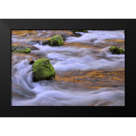 Oregon, Willamette NF McKenzie River over rocks Black Modern Wood Framed Art Print by Terrill, Steve