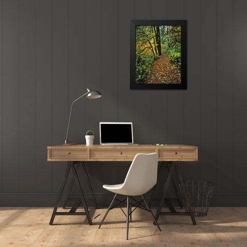 Oregon, Silver Falls SP Scenic park trail Black Modern Wood Framed Art Print by Terrill, Steve