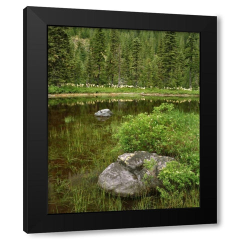 Oregon, Mt Hood NF Reflections in Surprise Lake Black Modern Wood Framed Art Print with Double Matting by Terrill, Steve