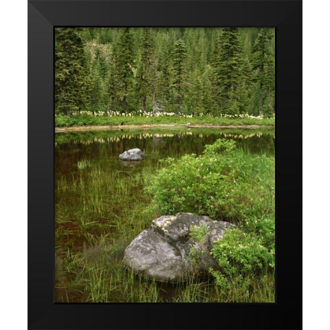 Oregon, Mt Hood NF Reflections in Surprise Lake Black Modern Wood Framed Art Print by Terrill, Steve