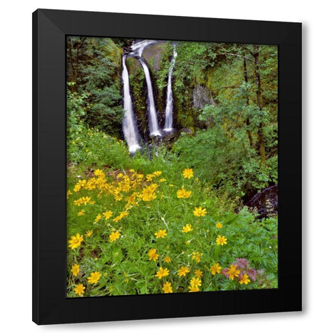 Oregon, Columbia River Gorge NSA Triple Falls Black Modern Wood Framed Art Print with Double Matting by Terrill, Steve