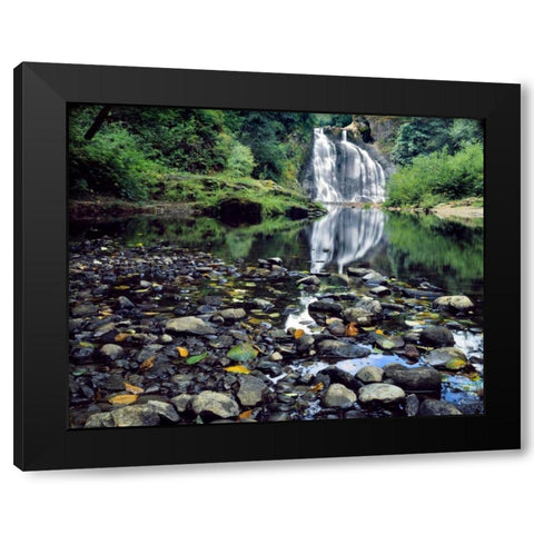 Oregon, Youngs River Falls Waterfall landscape Black Modern Wood Framed Art Print with Double Matting by Terrill, Steve