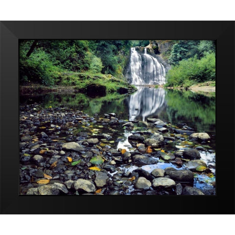 Oregon, Youngs River Falls Waterfall landscape Black Modern Wood Framed Art Print by Terrill, Steve