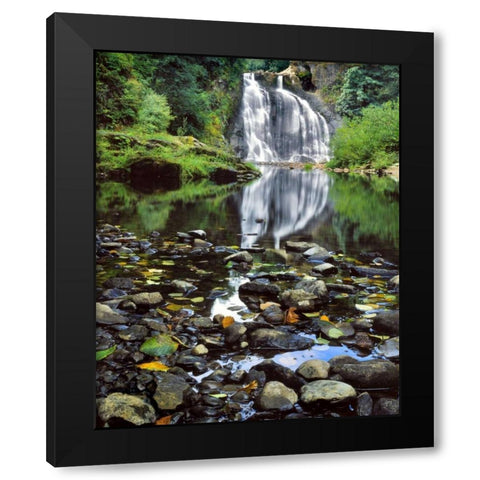 Oregon, Youngs River Falls Waterfall landscape Black Modern Wood Framed Art Print by Terrill, Steve